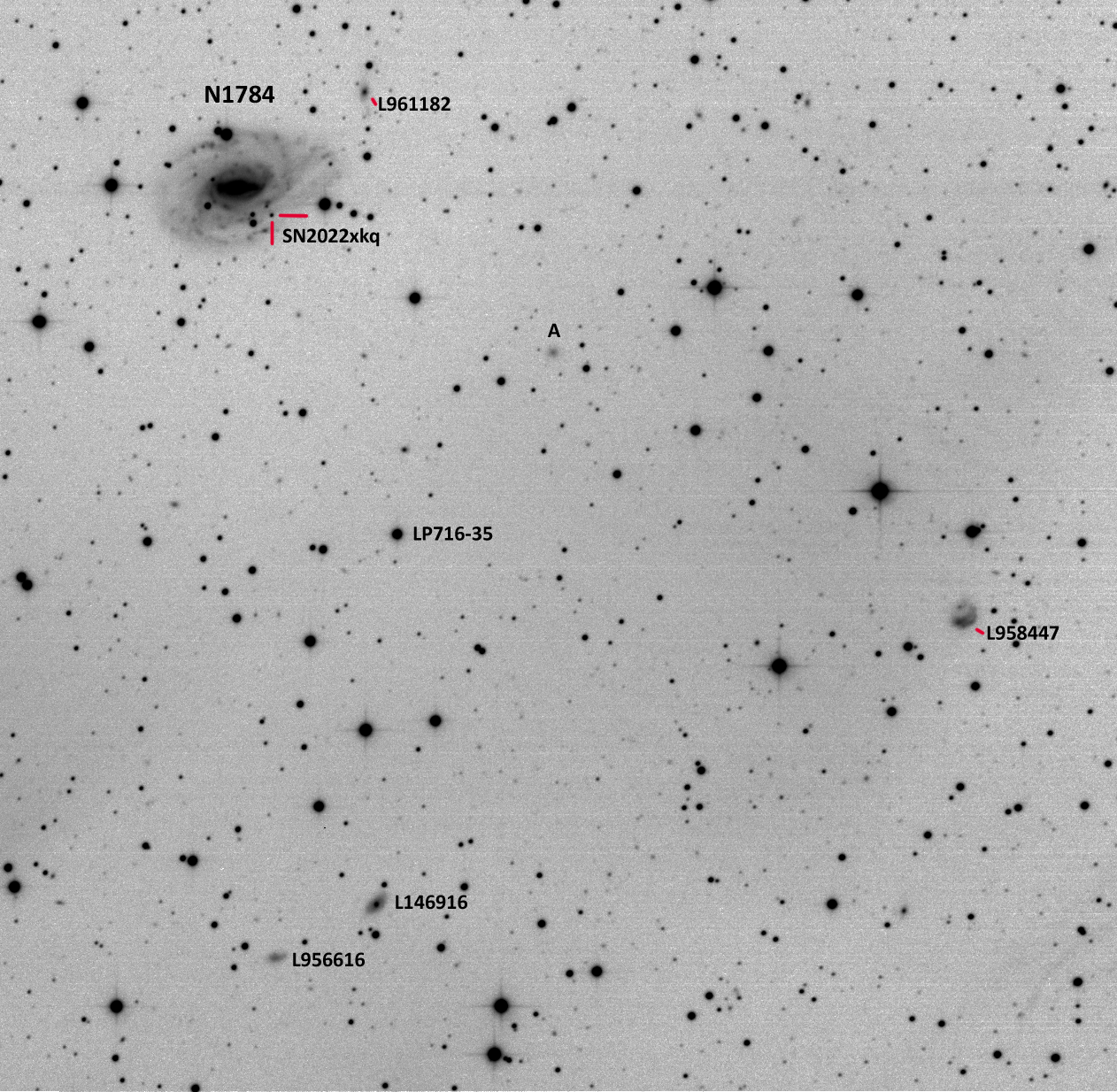 NGC 1784 + SN2022xkq